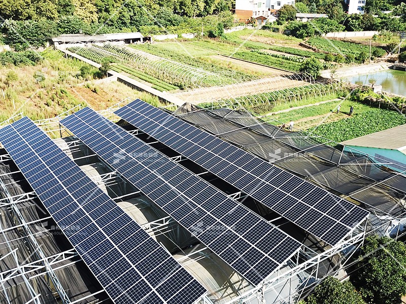 湖北人生就是搏绿色能源有限公司