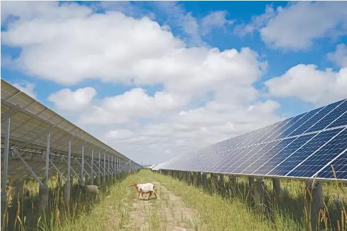 最新证据：：：光伏电站使用寿命远超25年！！！