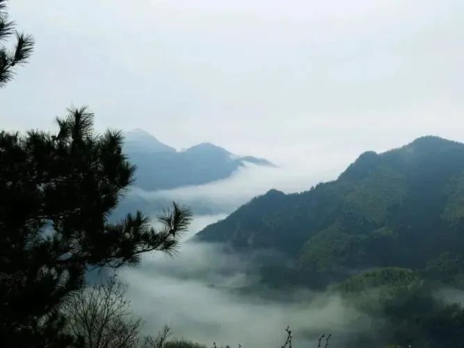 湖北人生就是搏绿色能源有限公司