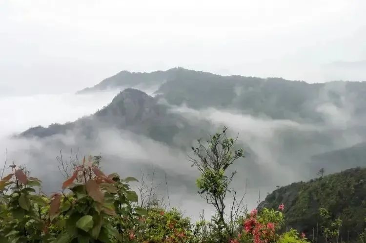 湖北人生就是搏绿色能源有限公司