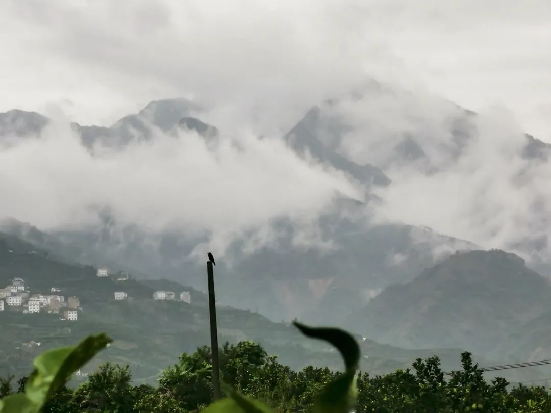 湖北人生就是搏绿色能源有限公司