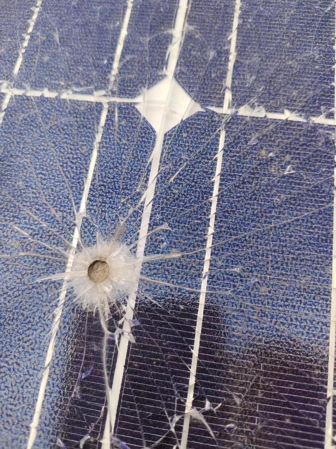 湖北人生就是搏绿色能源有限公司