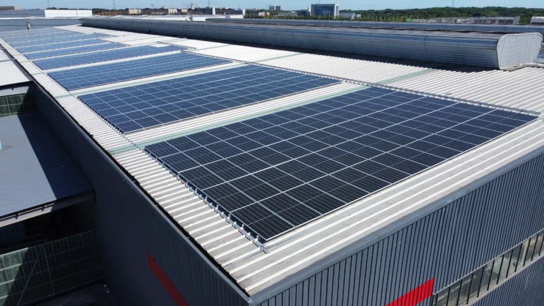 湖北人生就是搏绿色能源有限公司